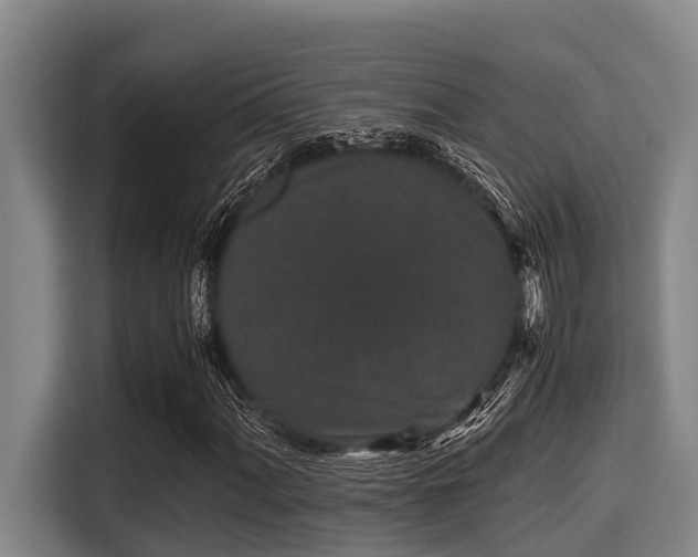X0000115371060200911101242