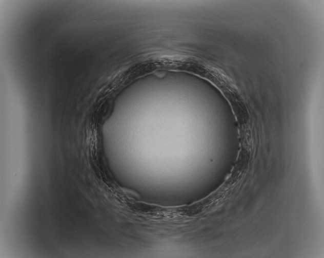 X0000115371061200911101242