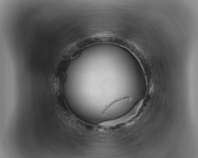 X0000115371062200911101242