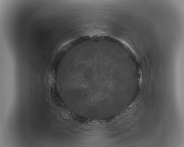 X0000115371063200911101242