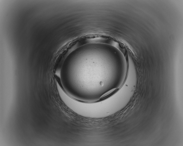 X0000115371064200911101242