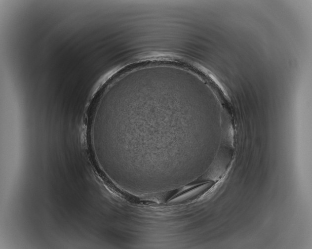 X0000115371066200911101242