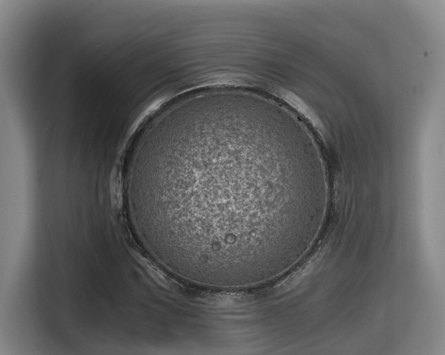 X0000115371067200911101242
