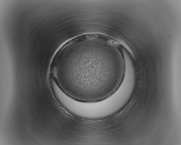 X0000115371068200911101241