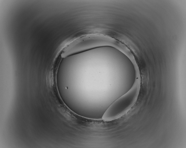 X0000115371069200911101241