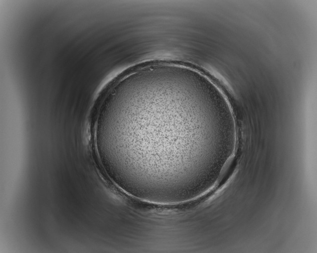 X0000115371070200911101241