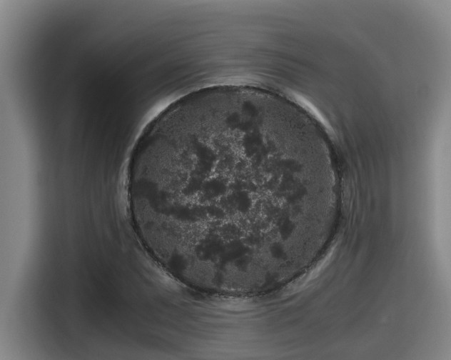 X0000115371071200911101241