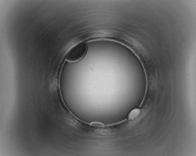 X0000115371073200911101241