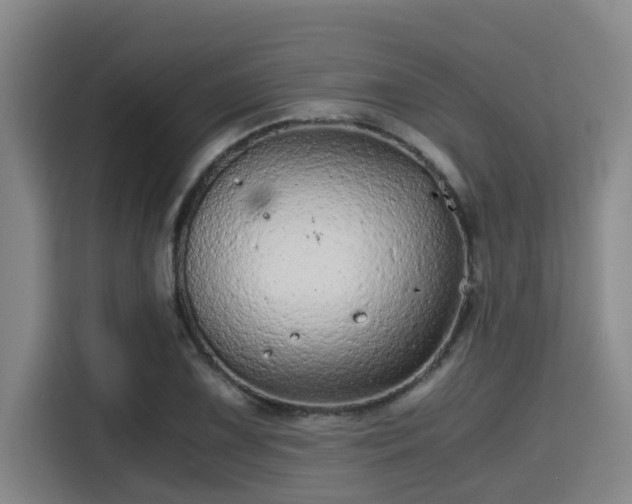X0000115371075200911101241