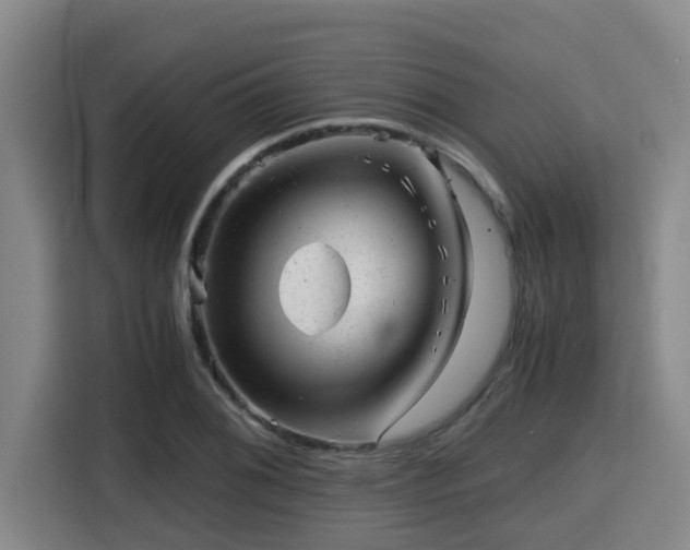X0000115371076200911101241