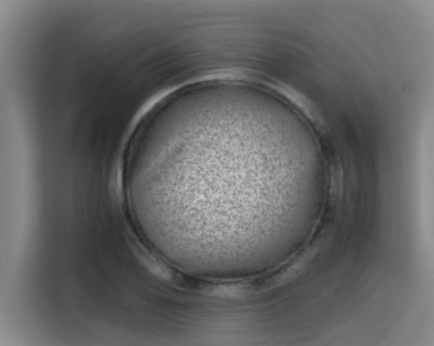 X0000115371078200911101241