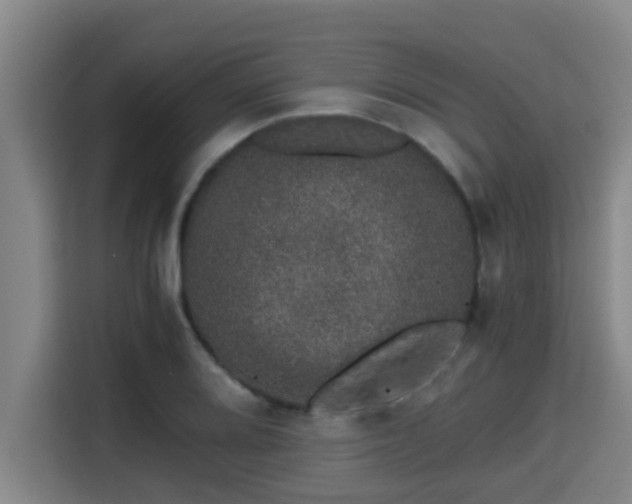 X0000115371080200911101241