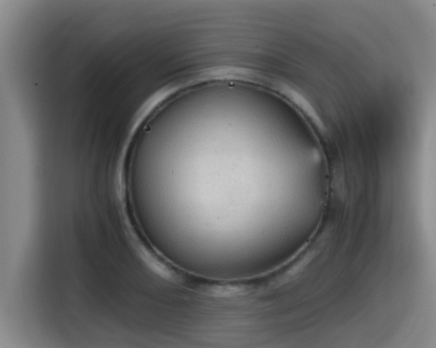 X0000115371082200911101241