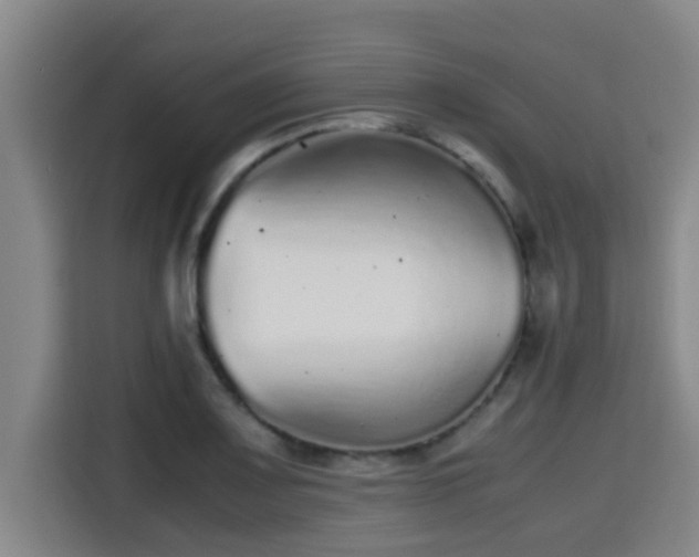 X0000115371083200911101241