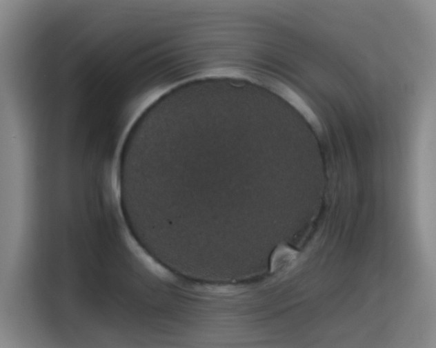 X0000115371084200911101241