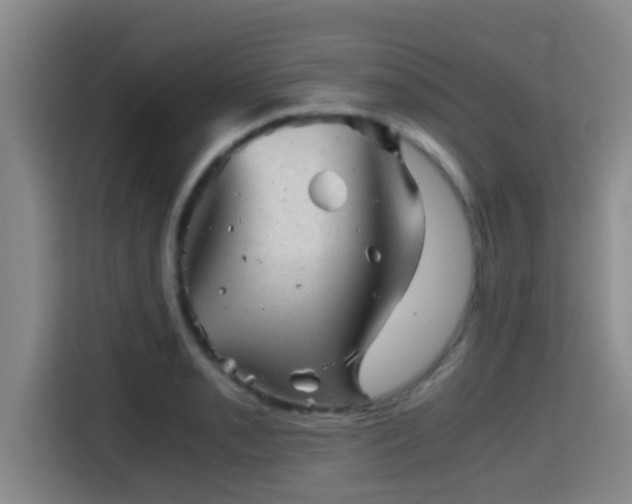 X0000115371085200911101241