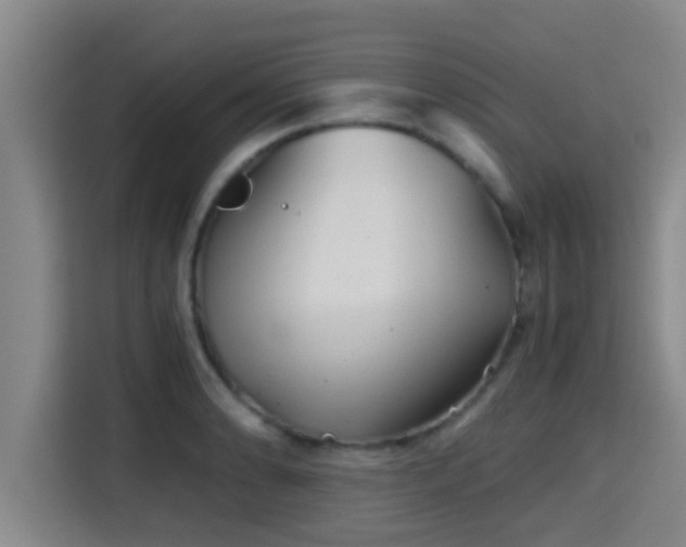 X0000115371086200911101241