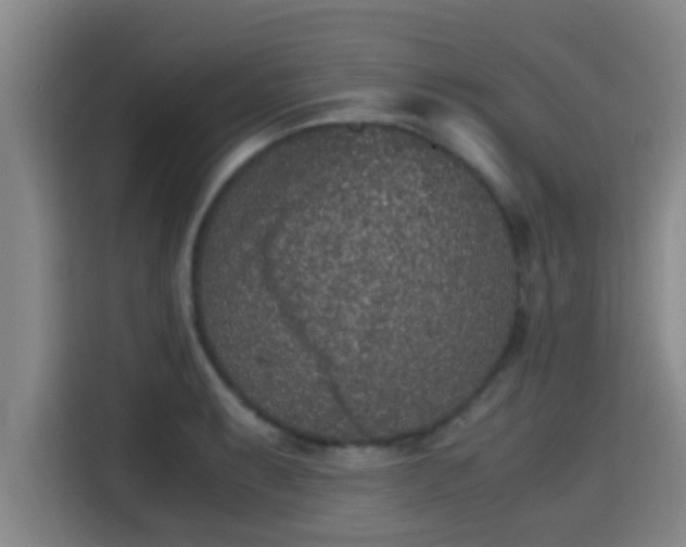 X0000115371087200911101241