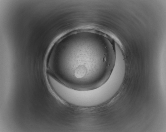 X0000115371088200911101241
