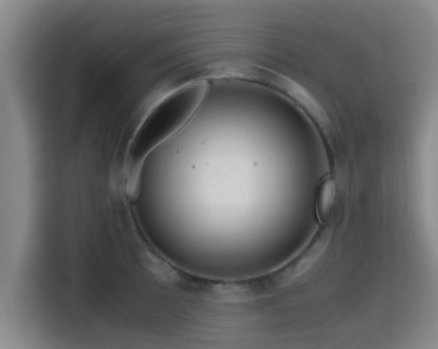 X0000115371089200911101241