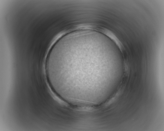 X0000115371090200911101241