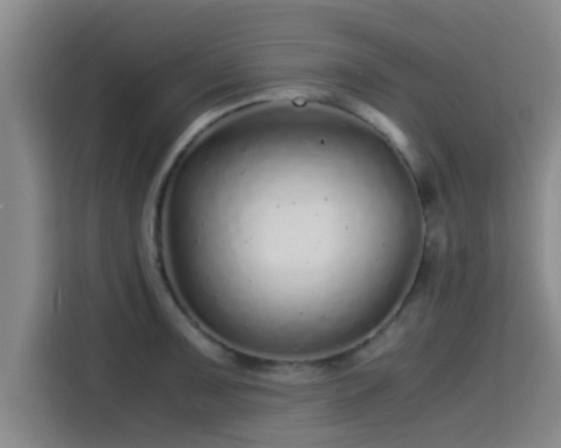X0000115371091200911101241