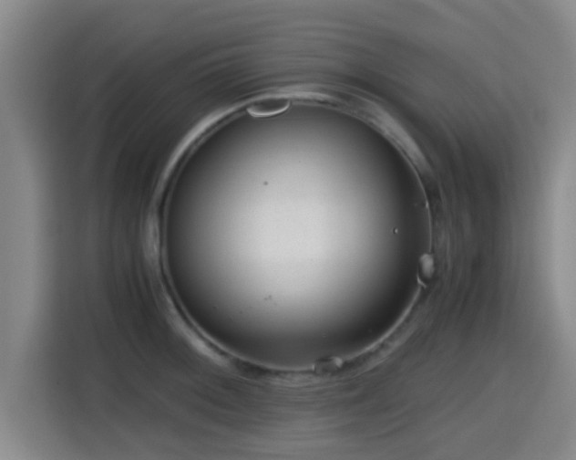 X0000115371092200911101241