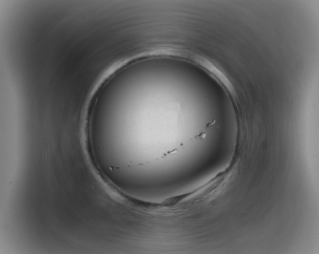 X0000115371093200911101241