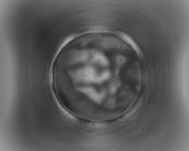 X0000115371095200911101241