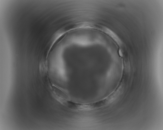 X0000115371097200911101241