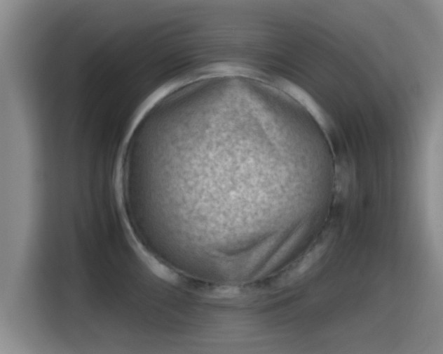 X0000115371098200911101241