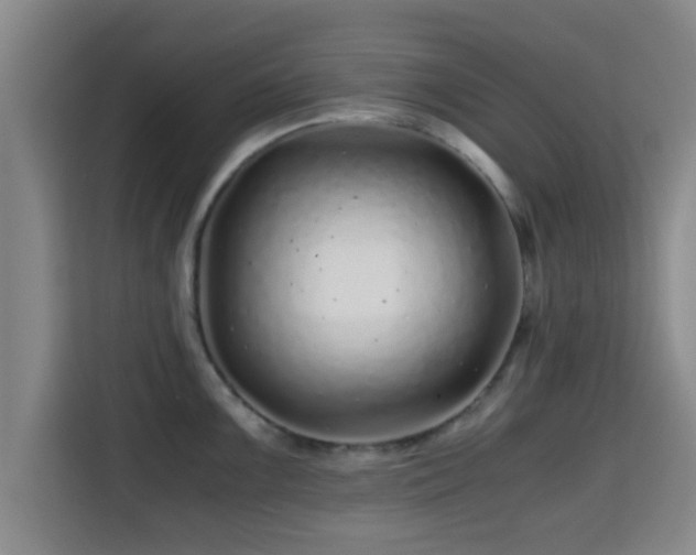 X0000115371099200911101241