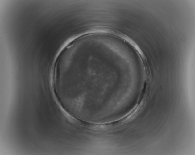 X0000115371101200911101241