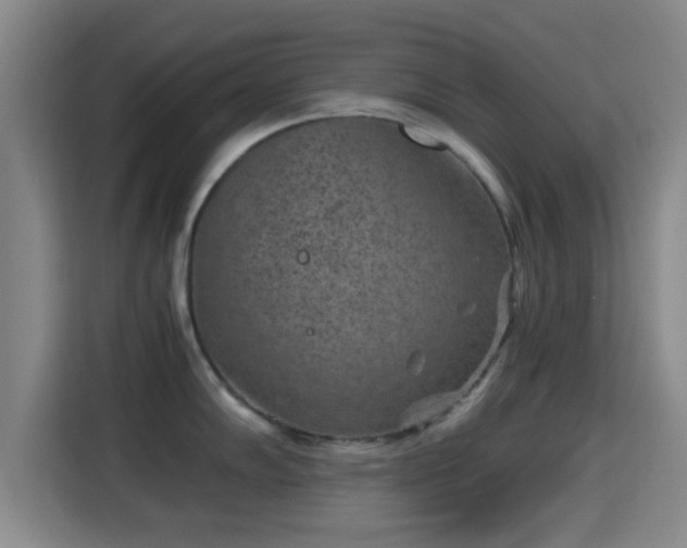 X0000115371102200911101241