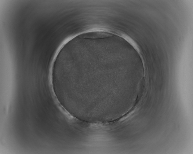 X0000115371104200911101241