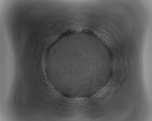 X0000115371105200911101240