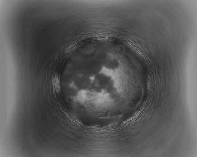 X0000115371106200911101240