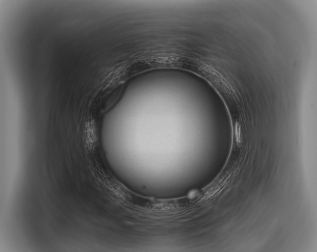 X0000115371107200911101240