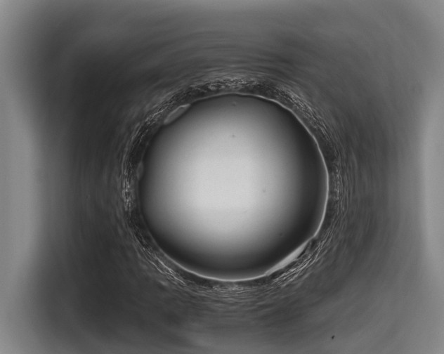 X0000115371109200911101240