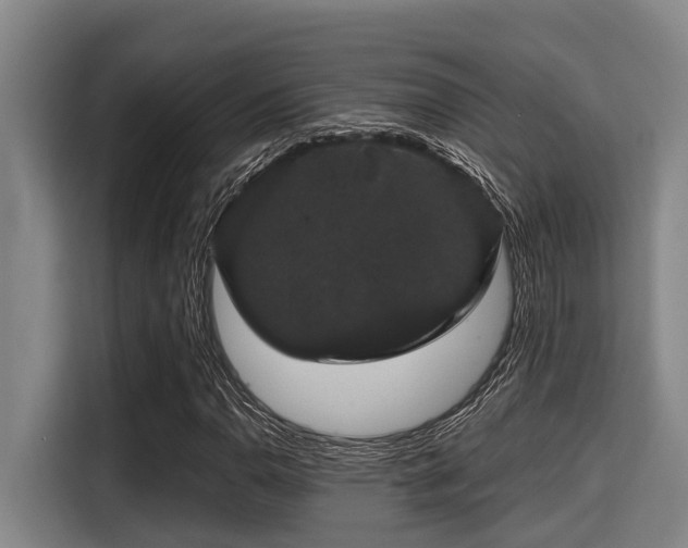 X0000115371110200911101240