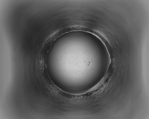 X0000115371111200911101240
