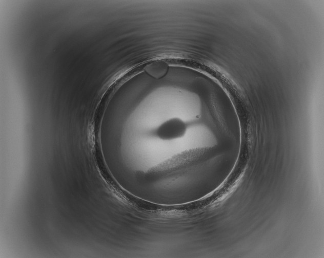 X0000115371113200911101241