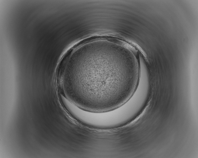 X0000115371114200911101241