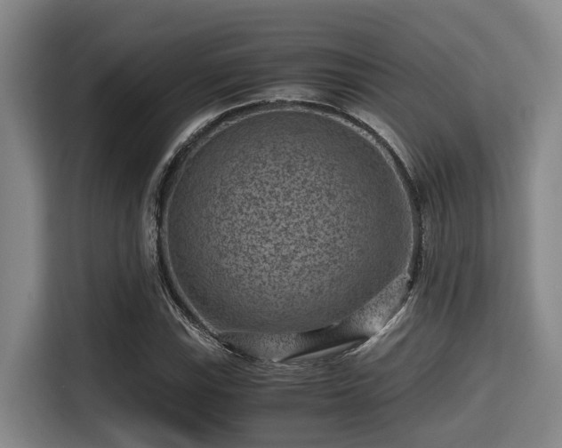 X0000115371115200911101241