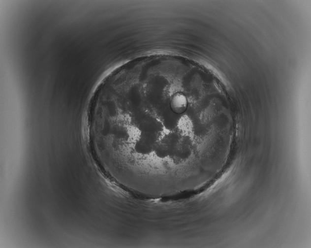 X0000115371117200911101241