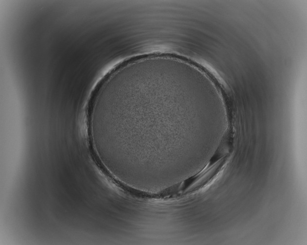 X0000115371118200911101241