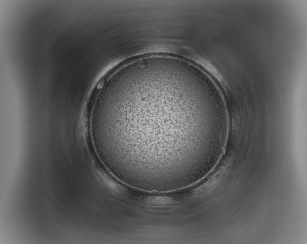 X0000115371119200911101241