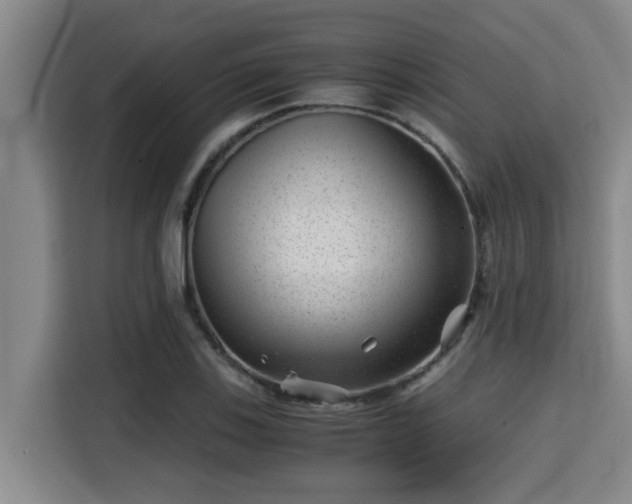 X0000115371123200911101241