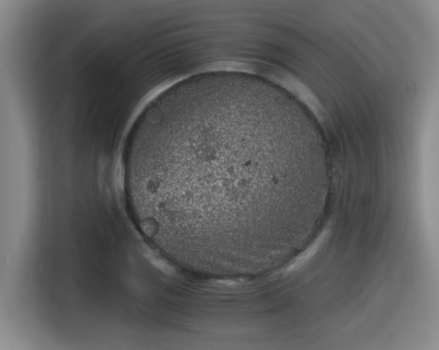 X0000115371125200911101241