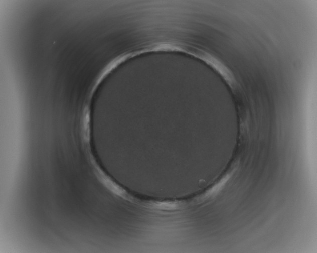 X0000115371126200911101241